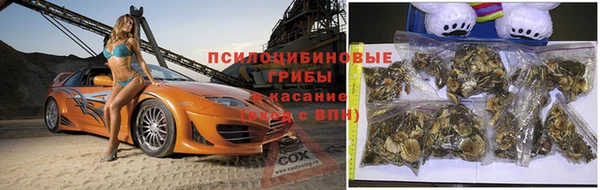 2c-b Абинск