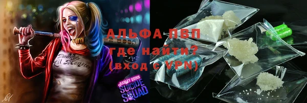 PSILOCYBIN Абаза